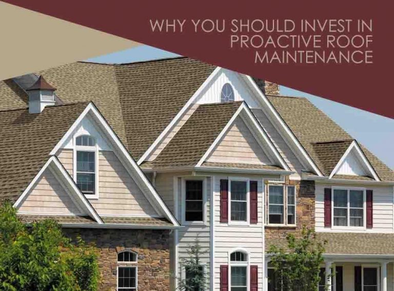 Proactive Roof Maintenance