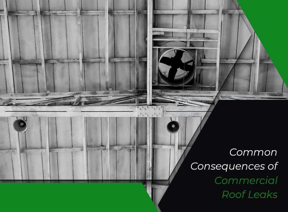 Common Consequences of Commercial Roof Leaks