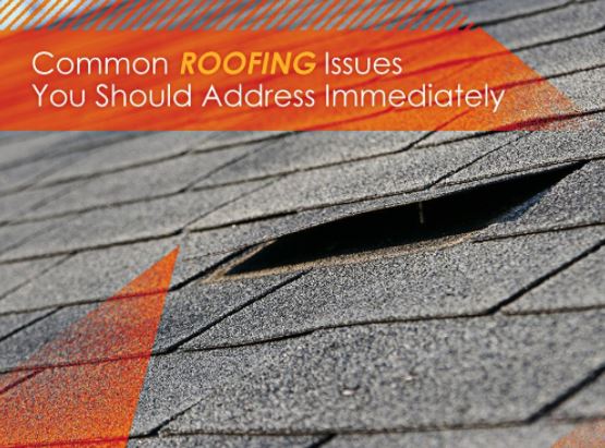 Common Roofing Issues You Should Address Immediately
